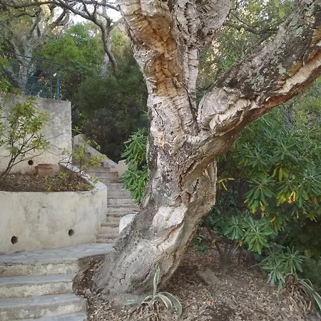 Villa Moulin A Vent 3429